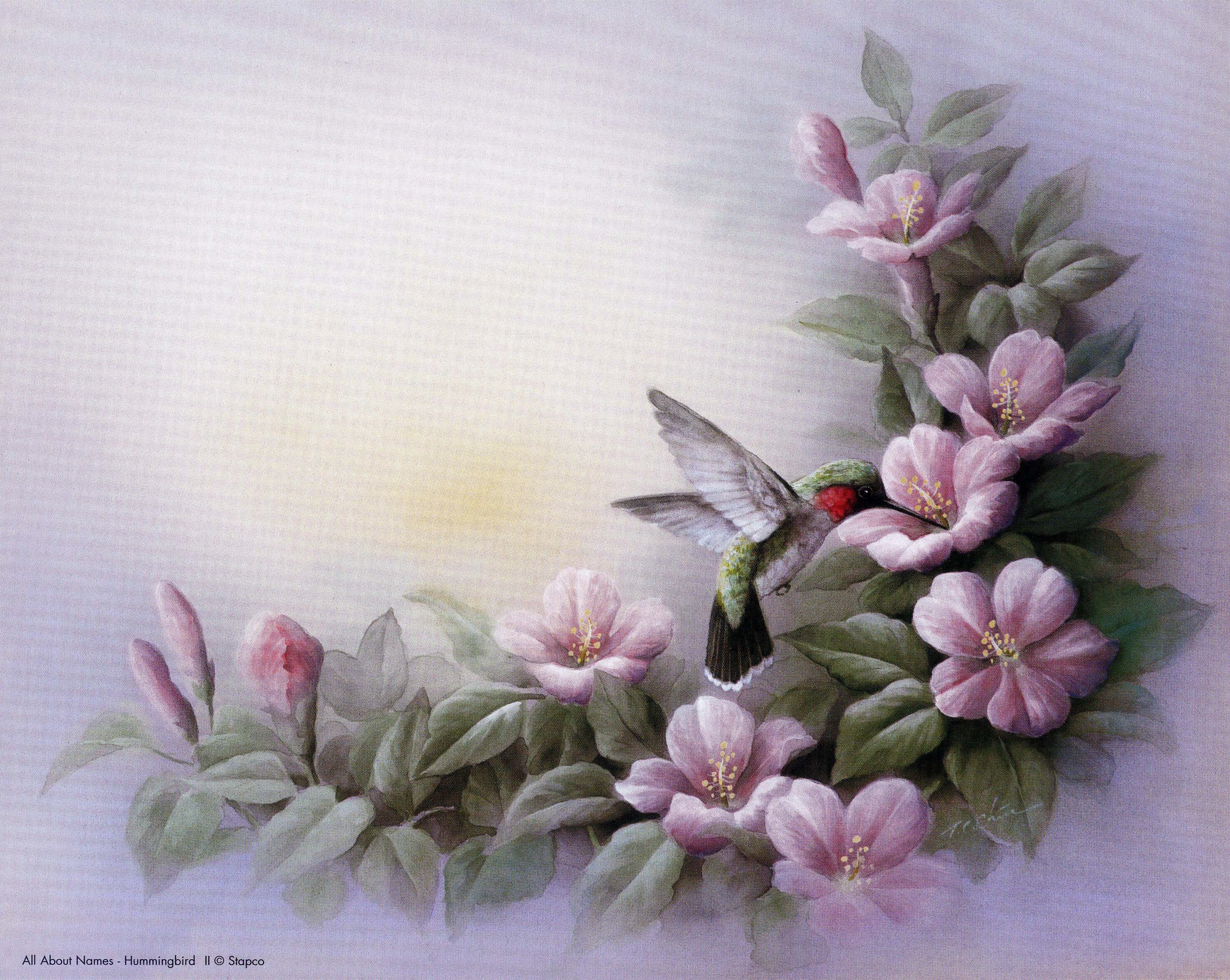 Hummingbird Poem